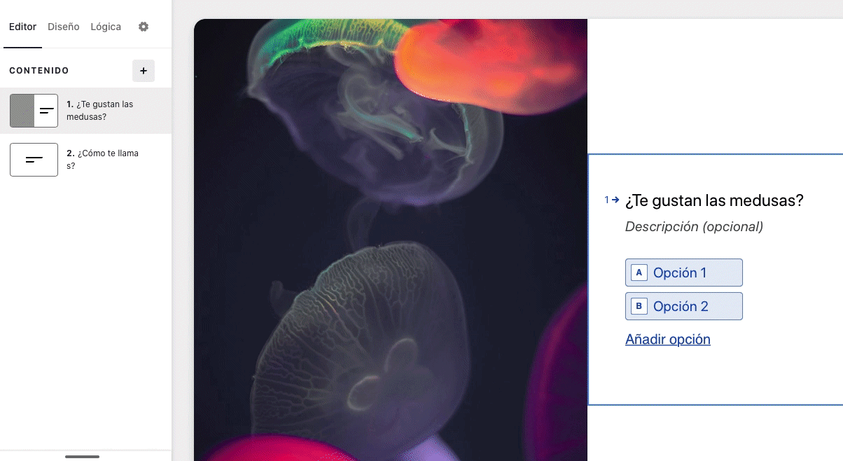 image10.gif