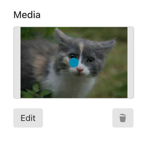 Screen_Shot_2021-03-16_at_11.34.57_AM.png