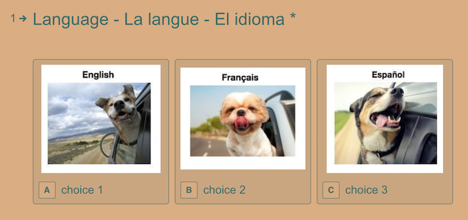Multi-language-typeform-031.png